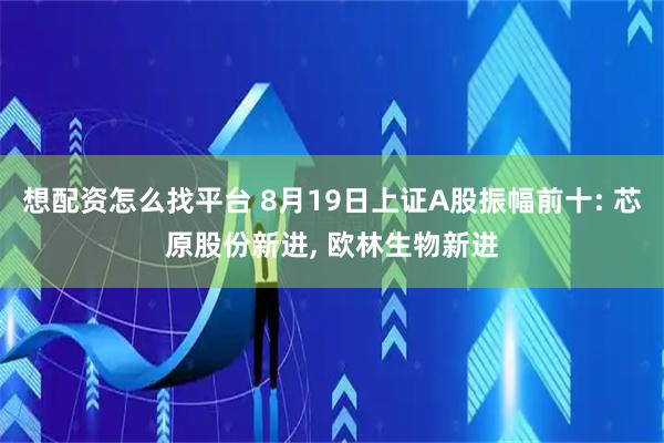 想配资怎么找平台 8月19日上证A股振幅前十: 芯原股份新进, 欧林生物新进