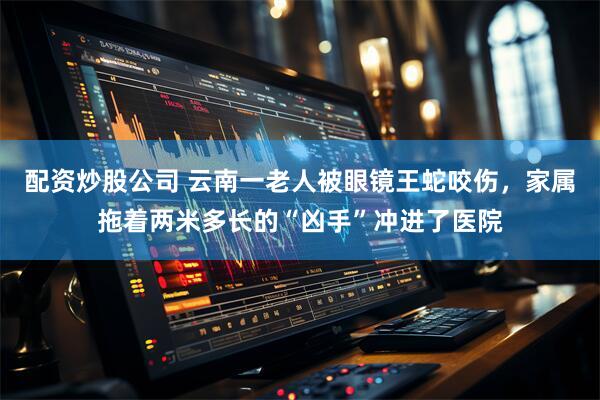 配资炒股公司 云南一老人被眼镜王蛇咬伤，家属拖着两米多长的“凶手”冲进了医院