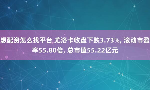 想配资怎么找平台 尤洛卡收盘下跌3.73%, 滚动市盈率55.80倍, 总市值55.22亿元