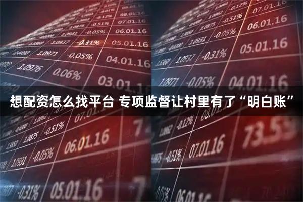 想配资怎么找平台 专项监督让村里有了“明白账”