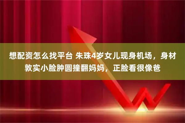 想配资怎么找平台 朱珠4岁女儿现身机场，身材敦实小脸肿圆撞翻妈妈，正脸看很像爸