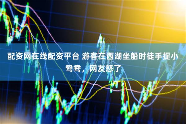 配资网在线配资平台 游客在西湖坐船时徒手捉小鸳鸯，网友怒了